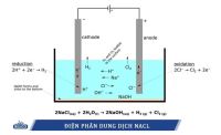 tim-hieu-may-bien-ap-dien-phan-tao-clo-trong-nuoi-trong-thuy-san