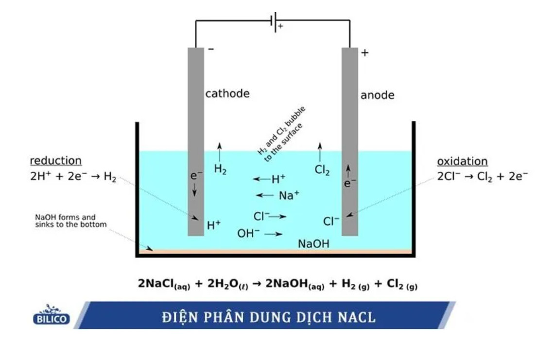 Tìm hiểu máy biến áp điện phân tạo CLo trong nuôi trồng thuỷ sản